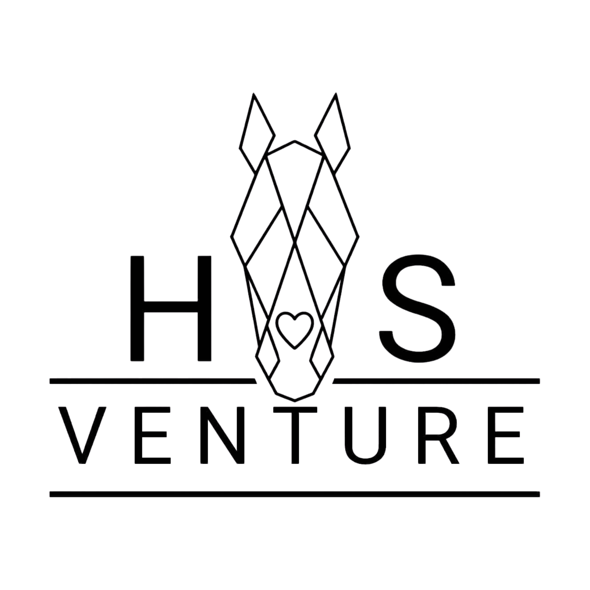HS VENTURE LOGO